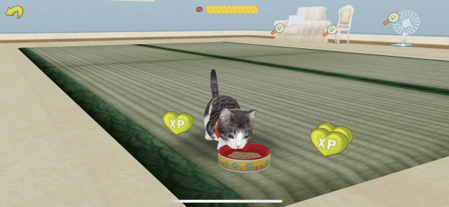 猫の食事画面